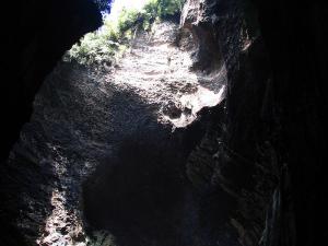 Gomantong Caves